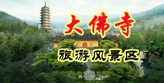 极品美女搞基视频影院在线观看视频中国浙江-新昌大佛寺旅游风景区